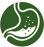A green circle with an image of a stomach
