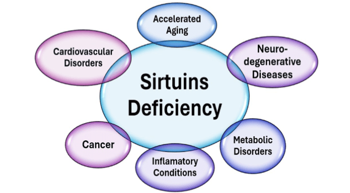 A diagram of the seven symptoms of siruins deficiency.