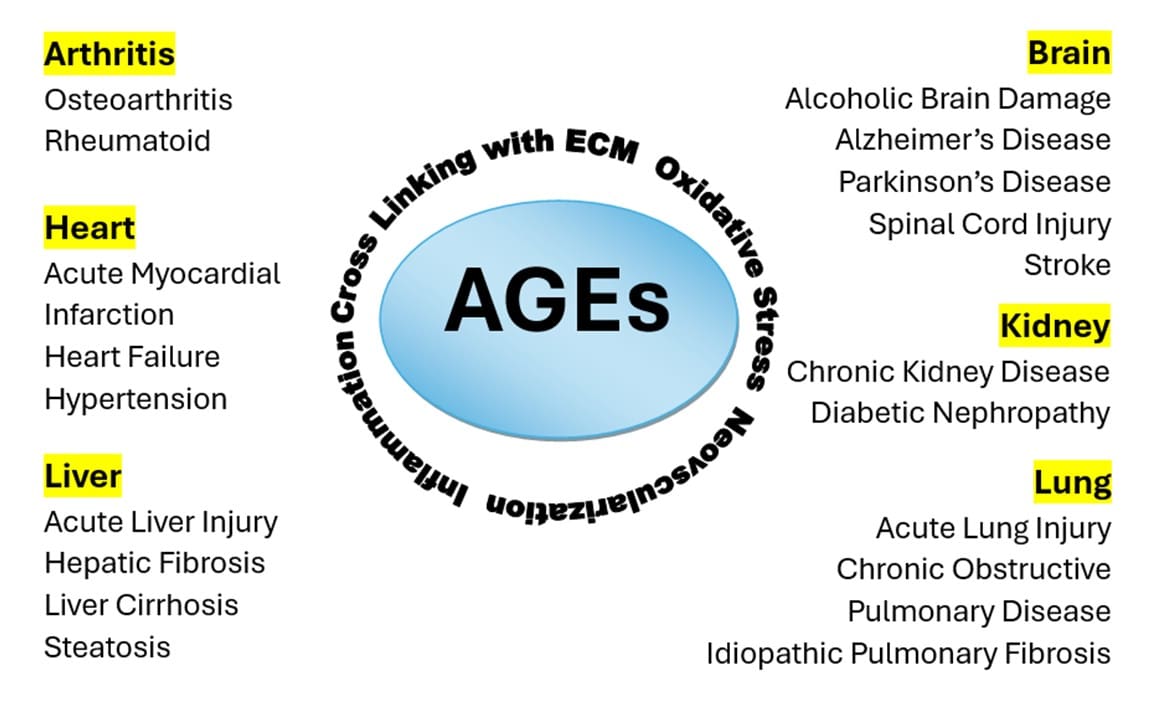 AGES and related diseases infographic.