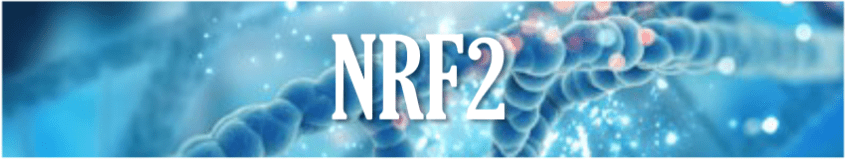 A banner with the words nrf 2 0 1 9 written in white.