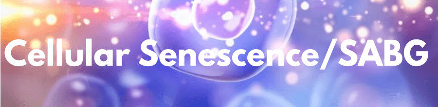 Cellular senescence and SABG illustration.