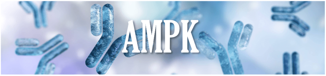 A picture of the word ampk with an image of a bird flying in it.