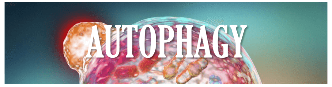 A close up of the word " tophae ".