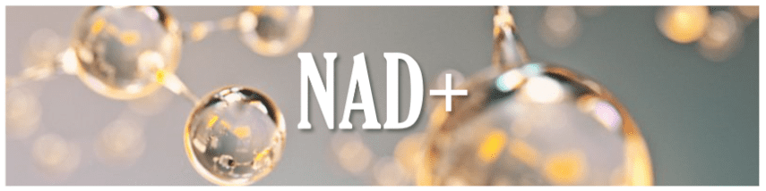 A picture of the word nad plus in white letters.