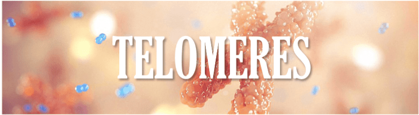 A close up of the word " flower ".