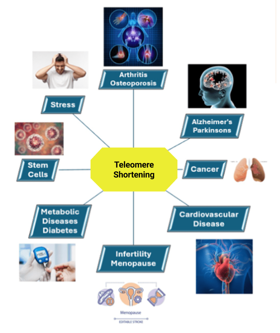 A diagram of different types of diseases and their effects.