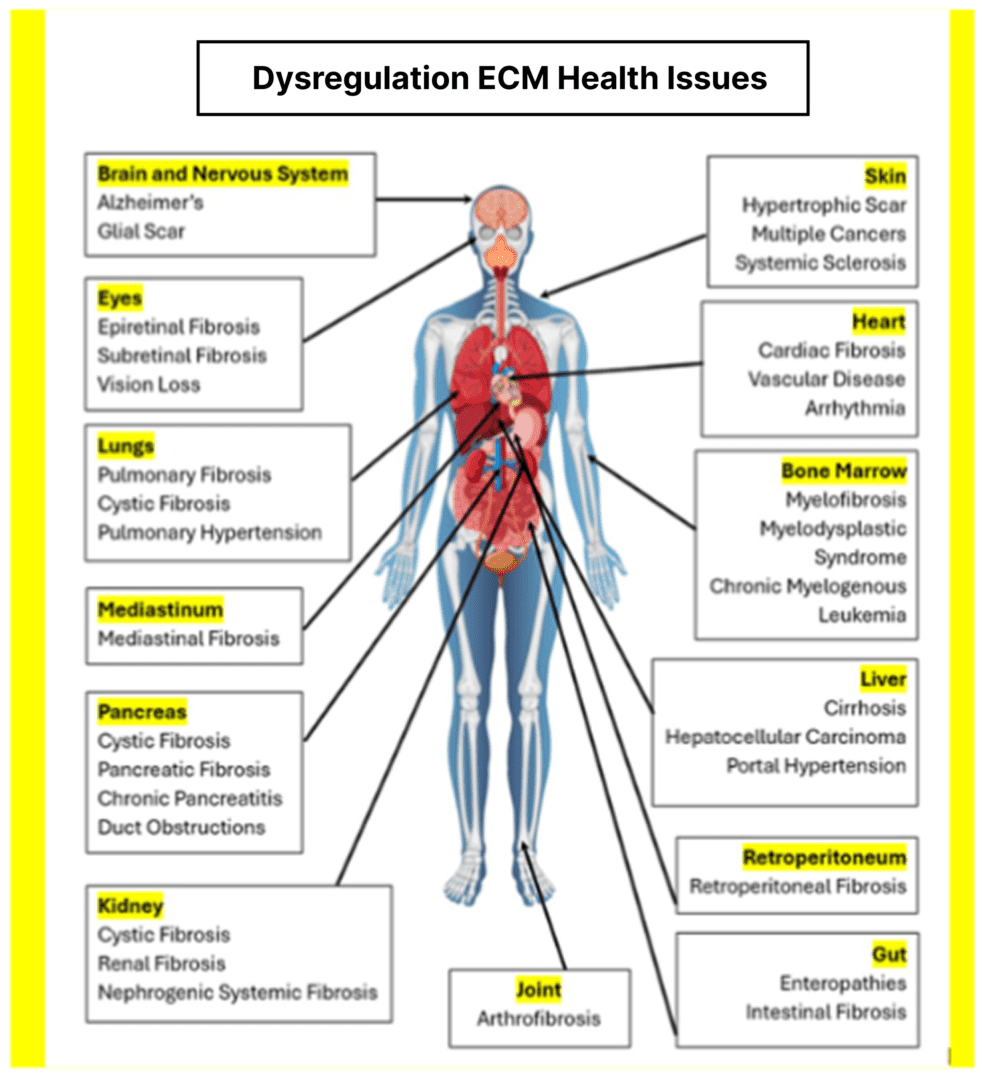 A chart of the body with various types of diseases.