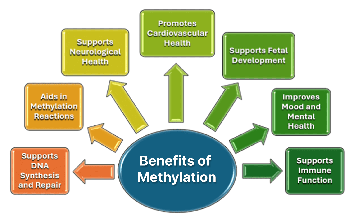 A diagram of the benefits of methylation.