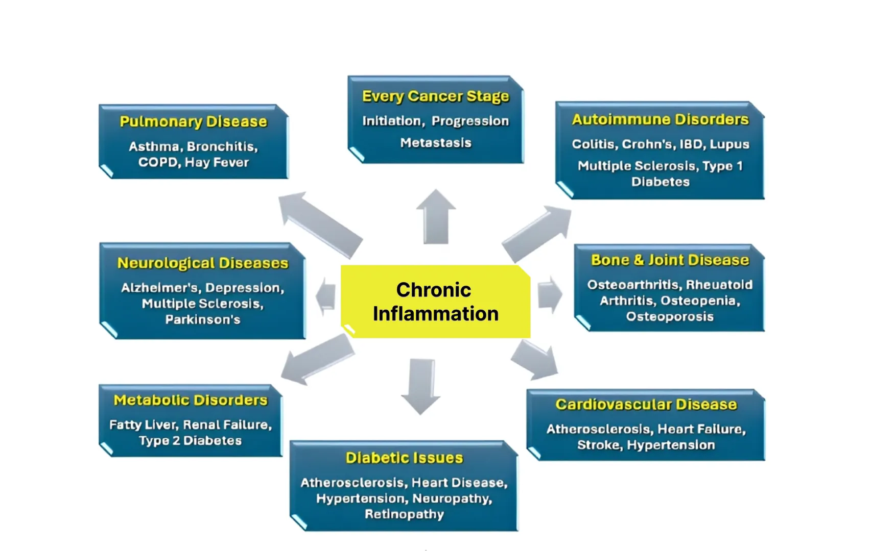 A diagram of chronic inflammation is shown.